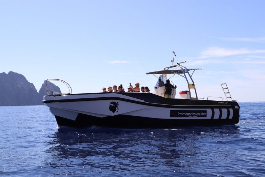 Calvi to Scandola: 4-Hour Boat Tour - Comfort, Weather, And What To Bring