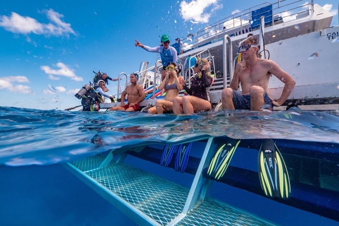 Calypso Outer Great Barrier Reef Cruise from Port Douglas - Key points to know before you book
