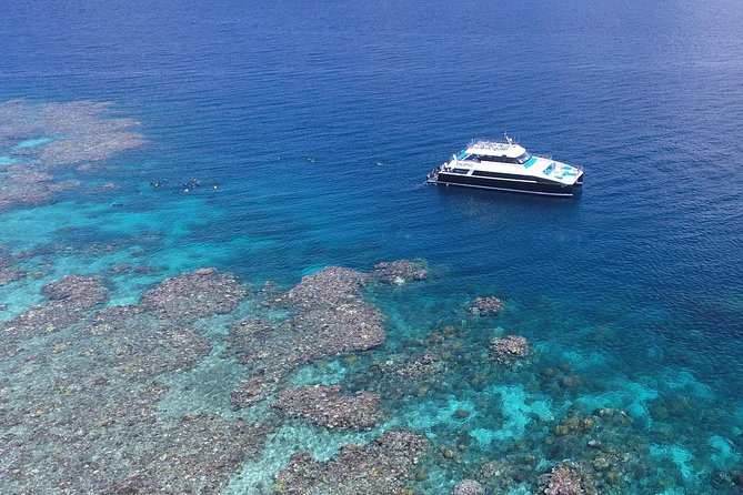 Calypso Outer Great Barrier Reef Cruise from Port Douglas - Why three reef sites make this cruise worthwhile