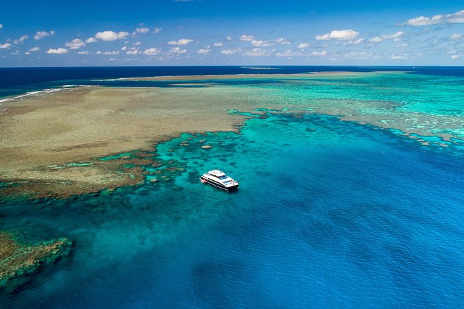 Calypso Outer Great Barrier Reef Cruise from Port Douglas - The second site adds structure and guidance