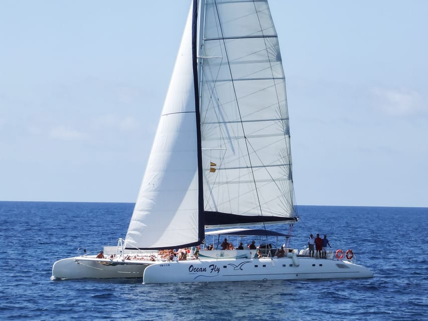 Cambrils: Costa Daurada Sail Catamaran Cruise - Practical tips for a smoother outing