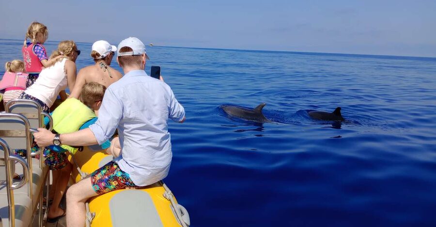 Can Picafort: Dolphin Watching Boat Tour, Swimming stop - Morning departures and the sunrise bonus