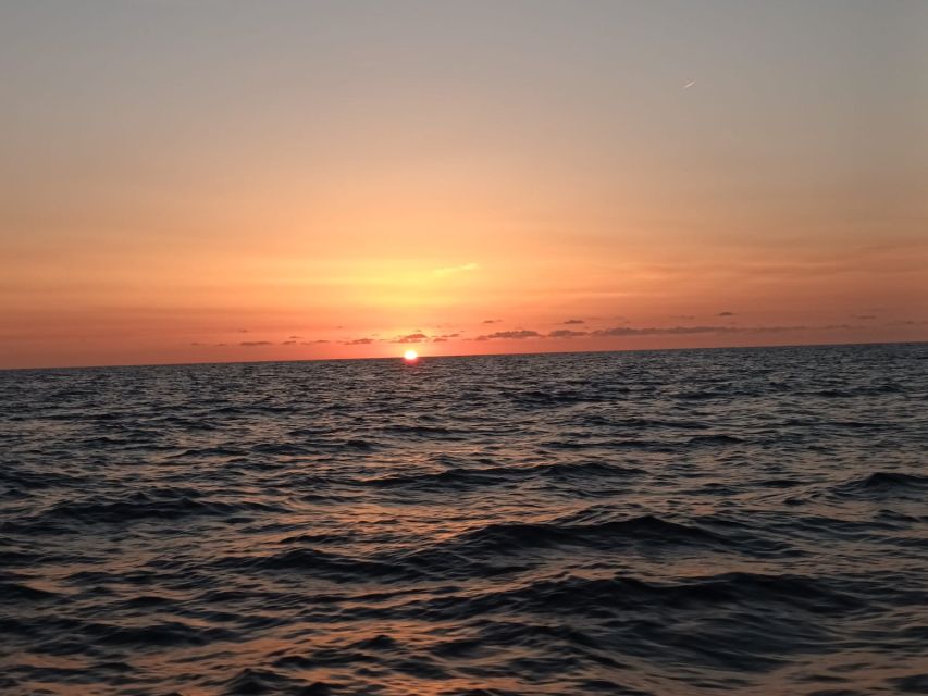 Can Picafort: Dolphin Watching Boat Tour, Swimming stop - Practical packing advice for three hours