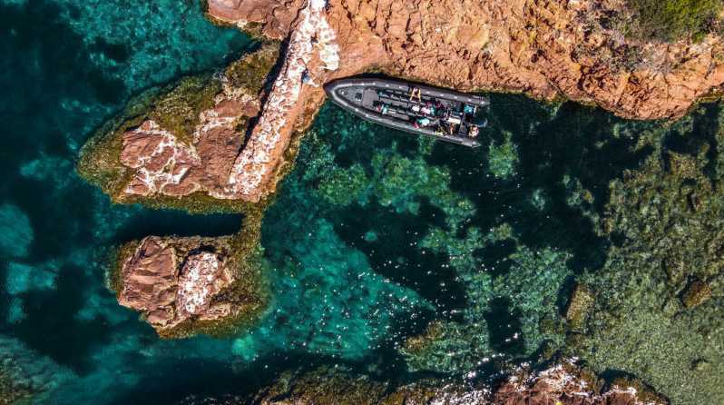 Cannes: Estérel Massif Boat Excursion - At a glance