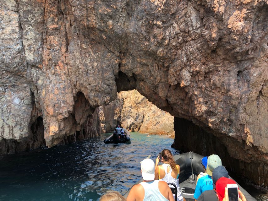 Cannes: Estérel Massif Boat Excursion - Swimming in sheltered coves