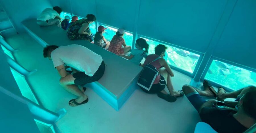 Cap Norfeu: Costa Brava Catamaran Trip with Underwater Views - Key points to know before sailing