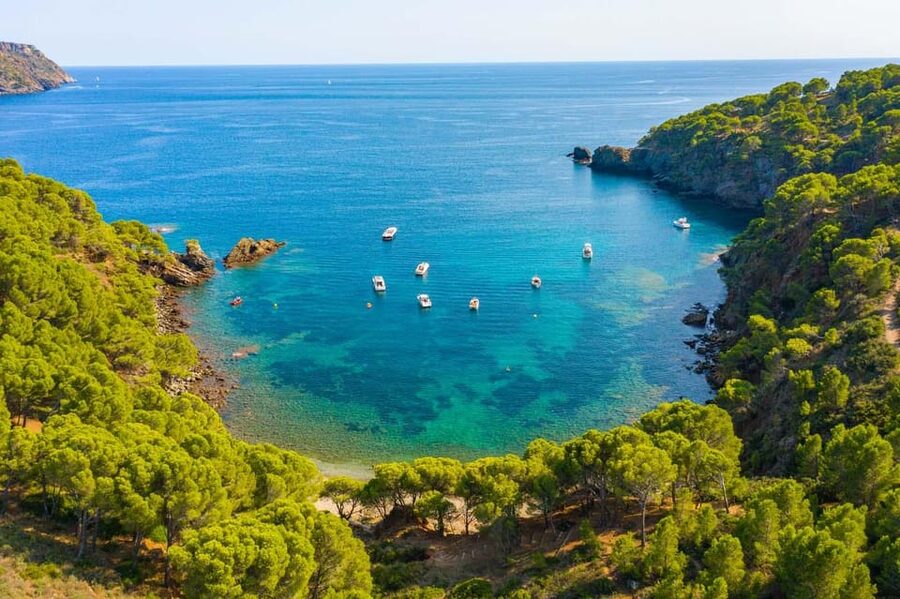 Cap Norfeu: Costa Brava Catamaran Trip with Underwater Views - Why this Costa Brava cruise is worth considering