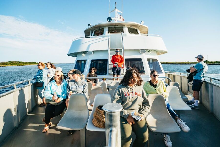 Cape May: Cape May Island Sunset Cruise & Dolphin Watching - A two-hour evening on Cape May’s water