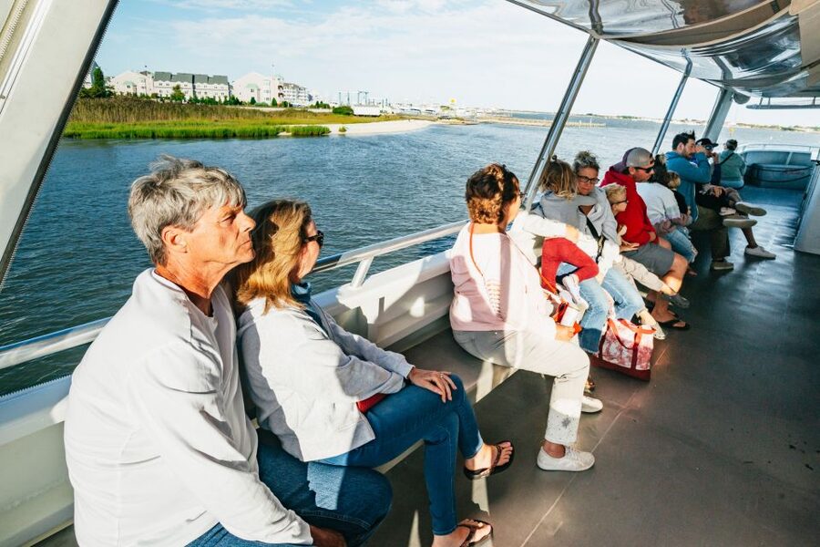 Cape May: Cape May Island Sunset Cruise & Dolphin Watching - Should you book the Cape May sunset cruise?