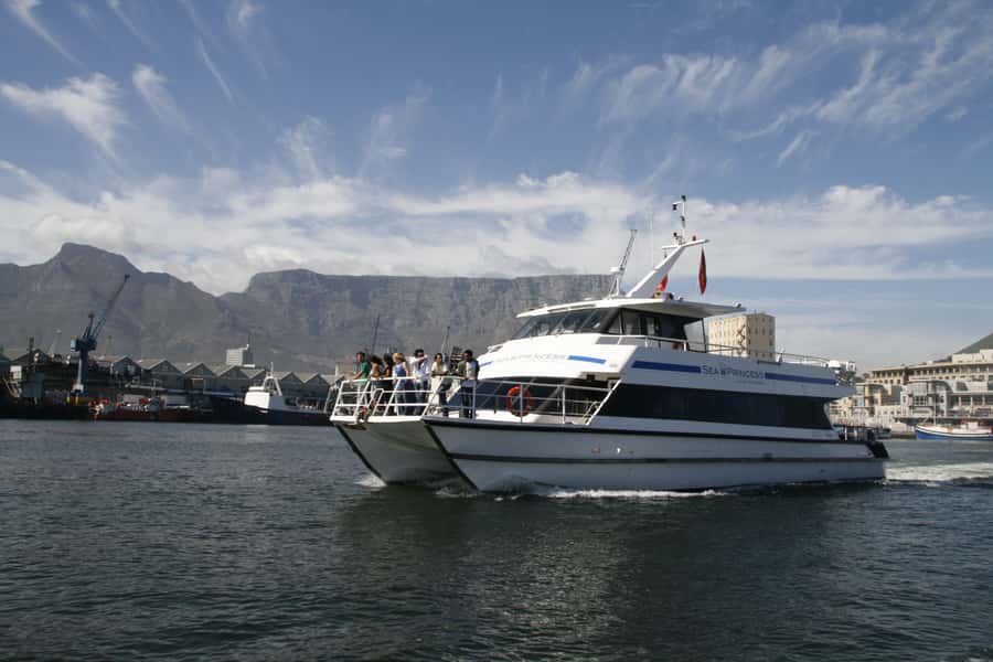 Cape Town: 1.5-Hour Luxury Sunset Cruise with Prosecco - The ride back and the real personality of the cruise