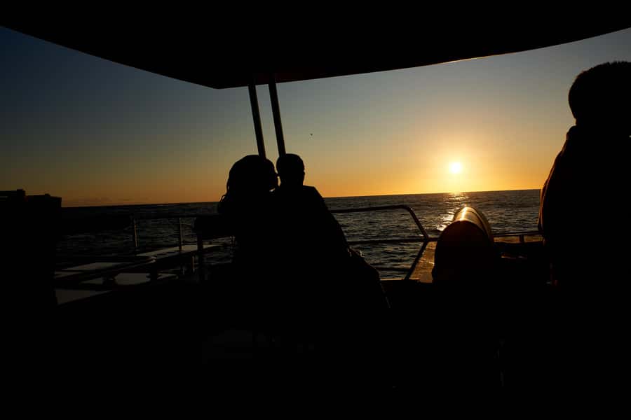 Cape Town: 1.5-Hour Luxury Sunset Cruise with Prosecco - A smooth start across Table Bay