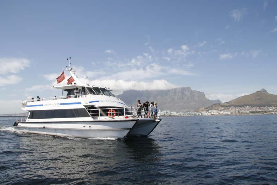 Cape Town: 1-Hour Pre-Sunset Champagne Cruise - At a glance: what makes this cruise worthwhile