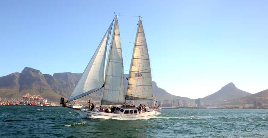 Cape Town: 1-Hour Pre-Sunset Champagne Cruise - Watching the water for dolphins, seals, and whales