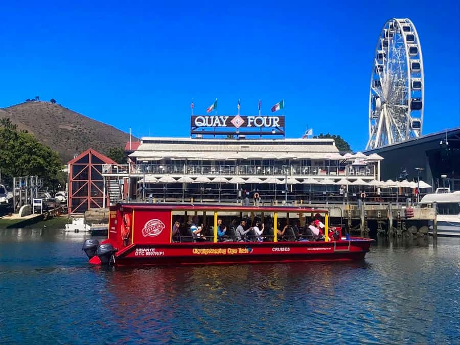 Cape Town: 30 Minute Seal-Watching Harbour Cruise - Key points to know before you go