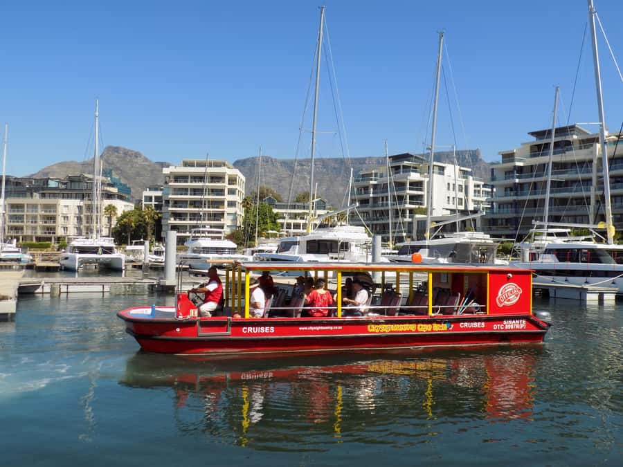 Cape Town: 30 Minute Seal-Watching Harbour Cruise - Finding Cape fur seals around the harbour