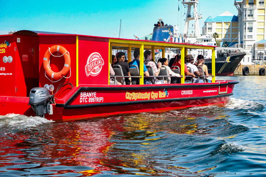 Cape Town: 30 Minute Seal-Watching Harbour Cruise - Practical advice for making the ride better