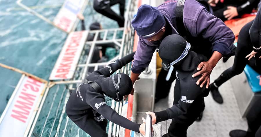 Cape Town: Gansbaai Eco-Friendly Shark Cage Diving Cruise - Boarding Slashfin for the shark encounter