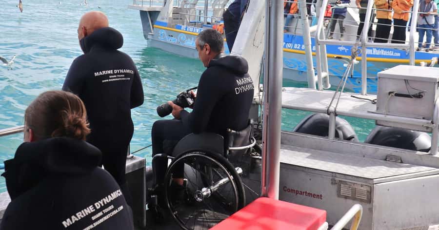 Cape Town: Gansbaai Eco-Friendly Shark Cage Diving Cruise - Who should book this trip?