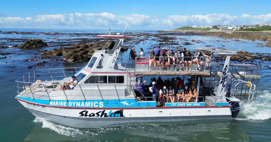 Cape Town: Gansbaai Eco-Friendly Shark Cage Diving Cruise - Breakfast, safety, and the Great White House