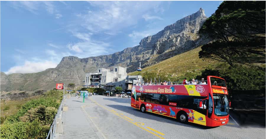 Cape Town: Hop-On Hop-Off Bus Tour with Optional Cruise - Key points to know before you board