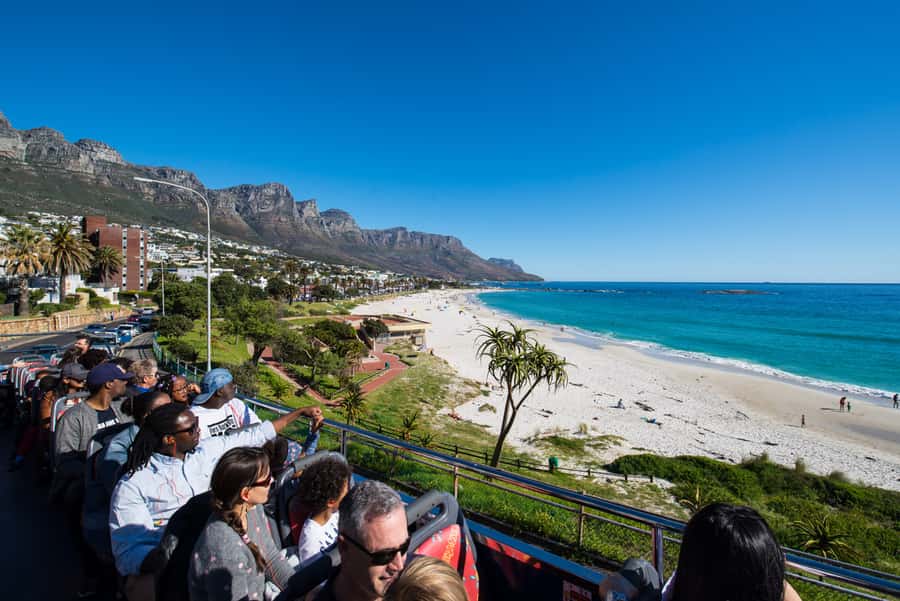 Cape Town: Hop-On Hop-Off Bus Tour with Optional Cruise - Why this bus works so well in Cape Town