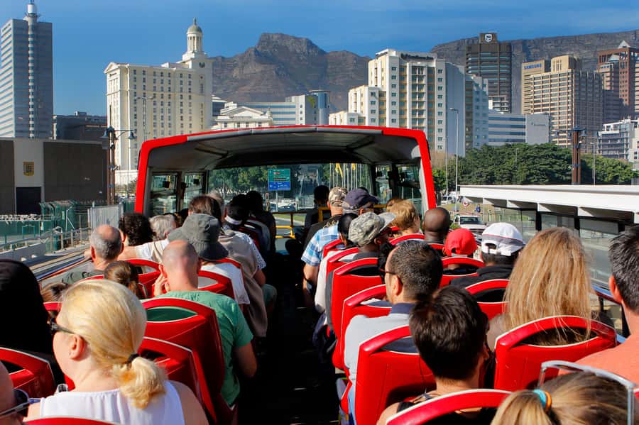 Cape Town: Hop-On Hop-Off Bus Tour with Optional Cruise - Constantia and the short purple wine route