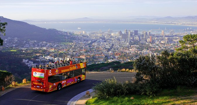 Cape Town Hop-On Hop-Off City Tour with Optional Cruise - Five reasons this tour works well