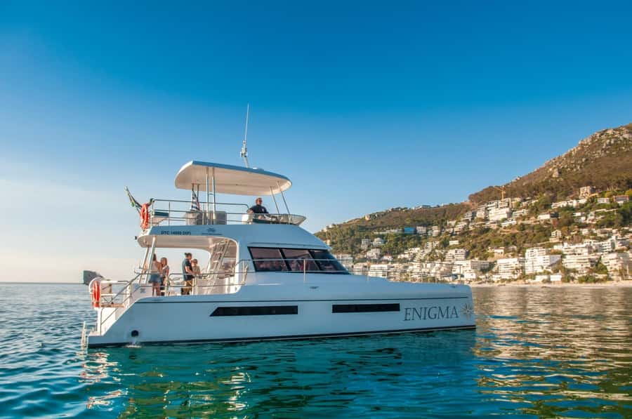 Cape Town: Scenic 1-Hour Coastal Catamaran Cruise - Key points to know before you board