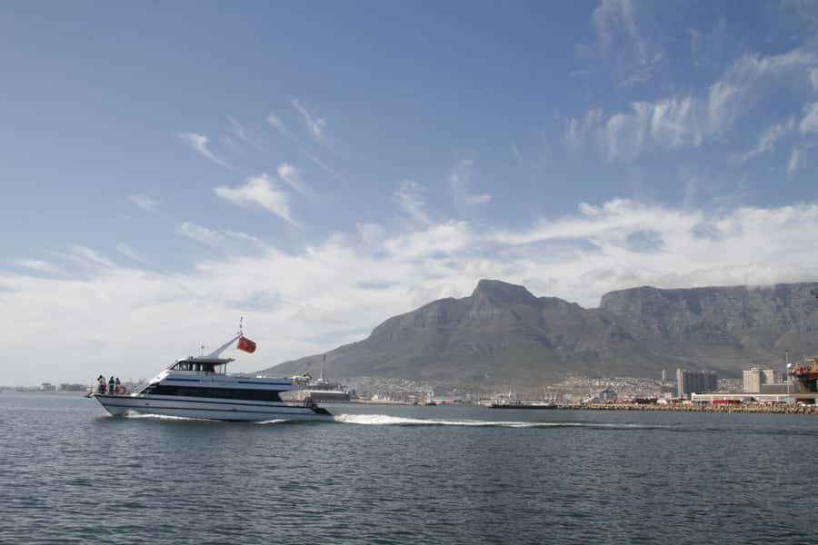 Cape Town: Scenic 1-Hour Coastal Catamaran Cruise - Booking flexibility and practical timing