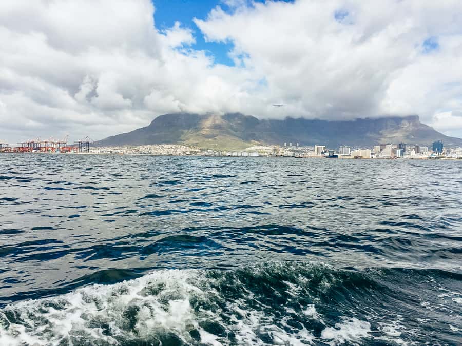 Cape Town: Sunset Champagne Cruise - Practical advice for choosing your seat
