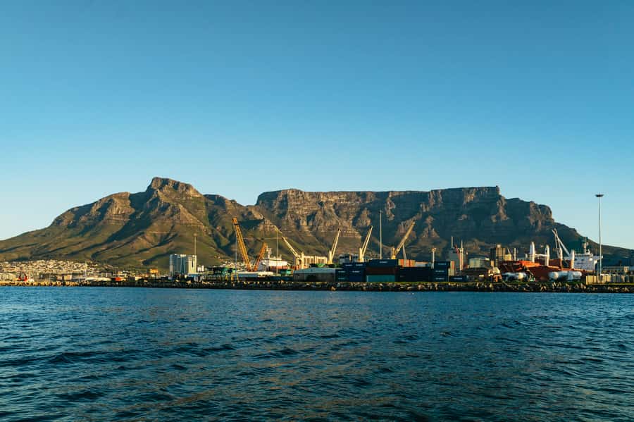 Cape Town: Sunset Champagne Cruise and 3-Course Dinner - Who will enjoy this evening most?