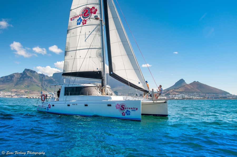Cape Town: Sunset Champagne Cruise and 3-Course Dinner - Walking from the boat to dinner