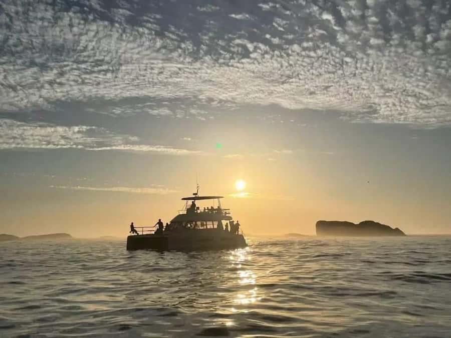 Cape Town: Sunset Champagne Cruise - Finding the check-in point at the V&A Waterfront