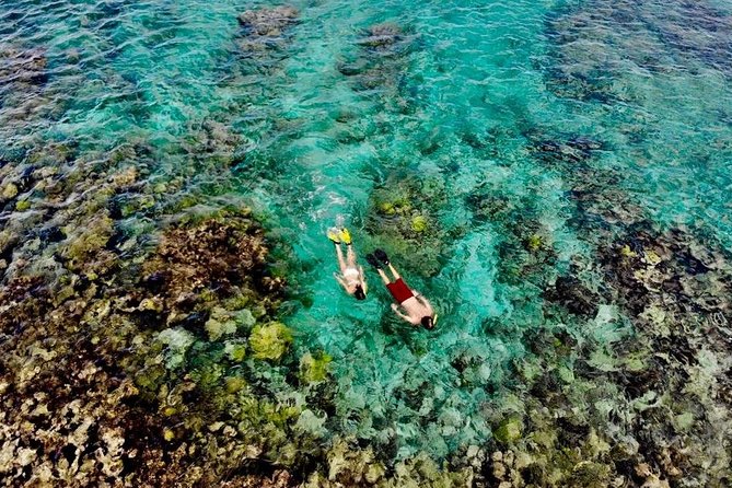 Captain Bob Speed Boat, Snorkeling, Beach Tour & Lunch St Maarten - Key points at a glance