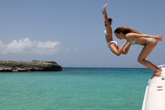 Captain Bob Speed Boat, Snorkeling, Beach Tour & Lunch St Maarten - Tintamarre Island: turtles, stingrays, and open water
