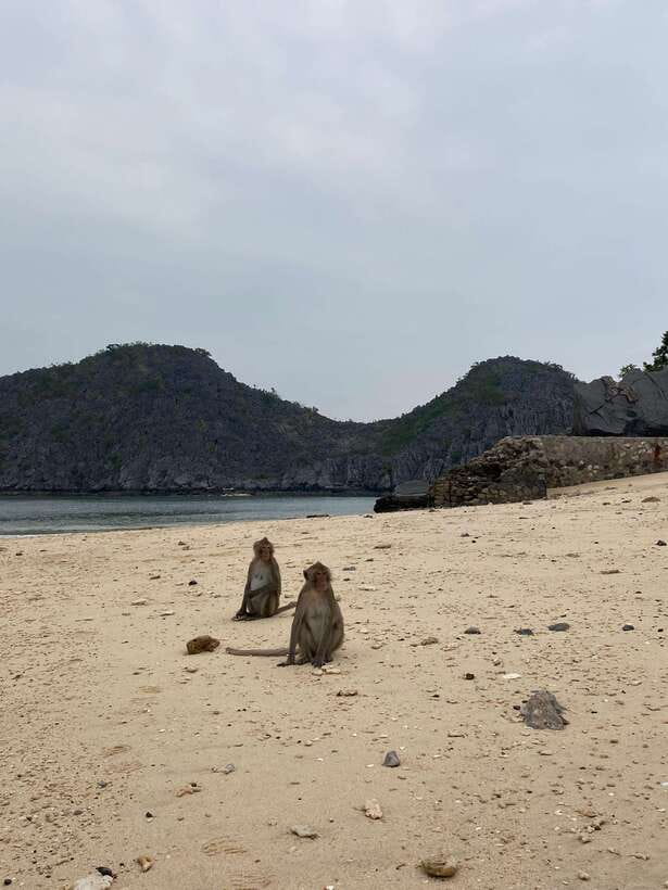 Cat Ba : Lan Ha Bay Bioluminescent Plankton Kayak Boat Tour - Key points at a glance