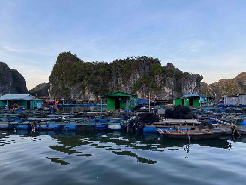 Cat Ba : Lan Ha Bay Bioluminescent Plankton Kayak Boat Tour - Setting out from Cai Beo Ferry Terminal