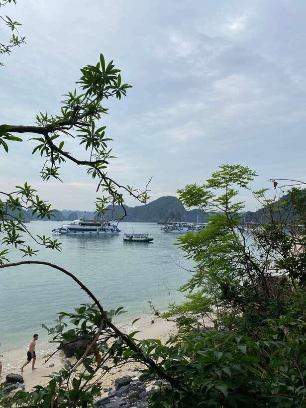 Cat Ba : Lan Ha Bay Bioluminescent Plankton Kayak Boat Tour - What the $36 price really includes