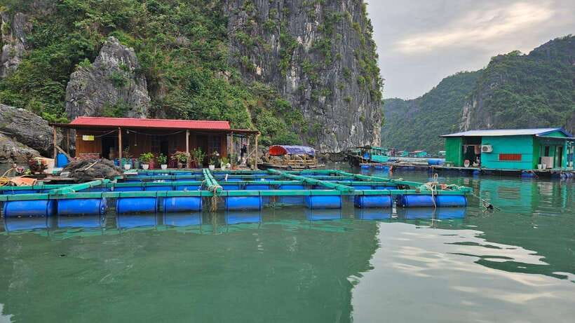 Cat Ba : Lan Ha Bay Bioluminescent Plankton Kayak Boat Tour - Practical packing advice for the five-hour tour