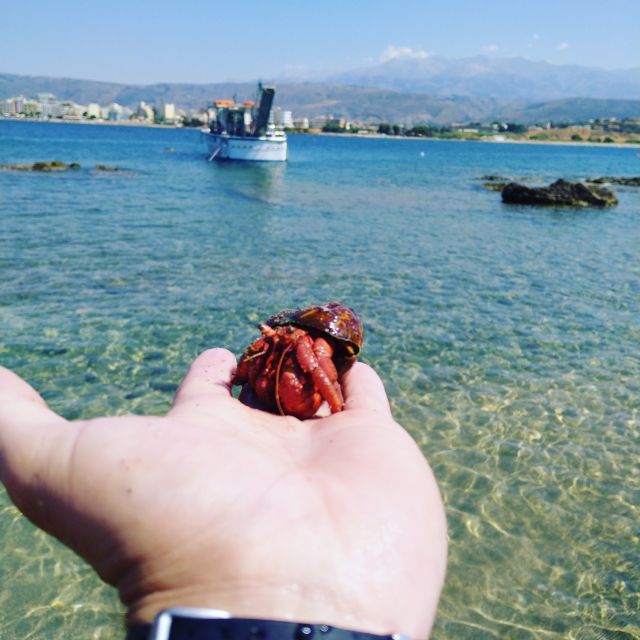 Chania Town: Glass-Bottom Boat Cruise to Thodorou & Lazareta - The highlights at a glance