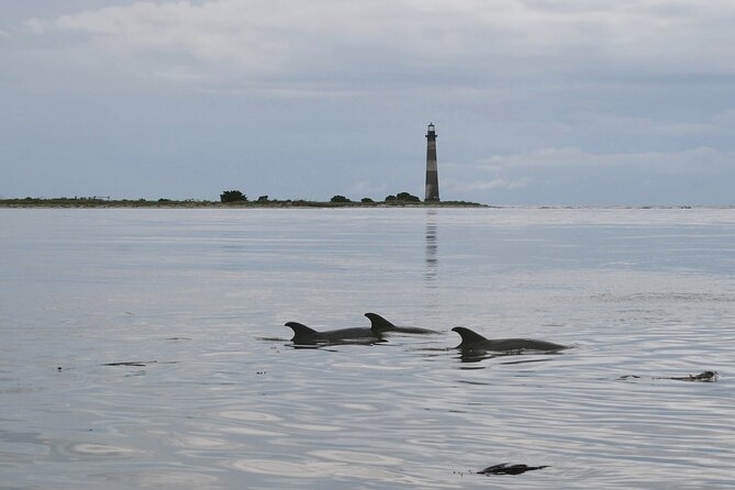 Charleston Eco Boat Cruise with stop at Morris Island Lighthouse - The ride through tidal creeks and salt marsh
