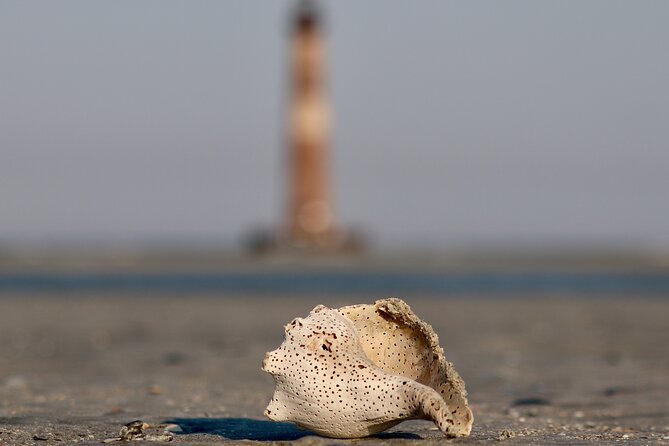 Charleston Eco Boat Cruise with stop at Morris Island Lighthouse - Why the lighthouse stop is worth the time