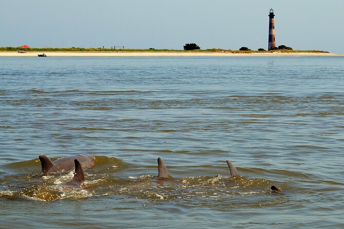 Charleston Eco Boat Cruise with stop at Morris Island Lighthouse - Who should book this Morris Island cruise