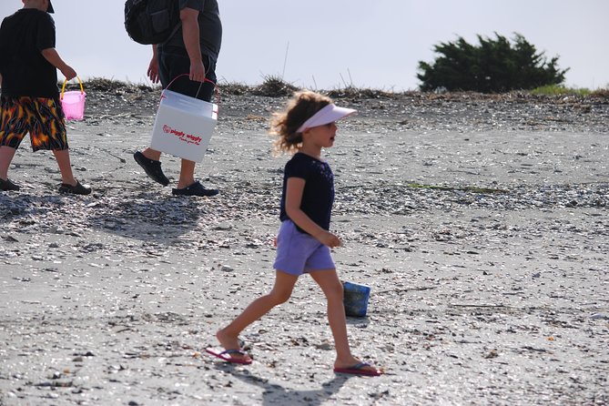 Charleston Eco Boat Cruise with stop at Morris Island Lighthouse - Should you book it?