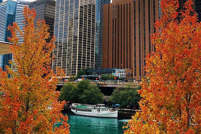 Chicago Architecture Center River Cruise aboard First Lady - Willis Tower and the scale of Chicago