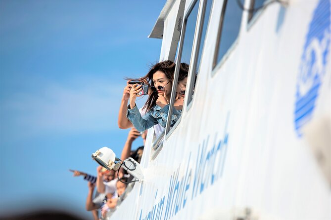 City Cruises Boston Whale Watching Cruise by High-Speed Boat - What the three-and-a-half-hour schedule feels like