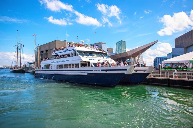 City Cruises Boston Whale Watching Cruise by High-Speed Boat - Stellwagen Bank, where the whales feed
