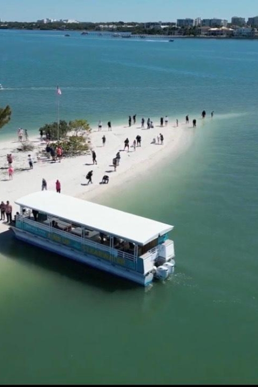 Clearwater Beach: Dolphin & Island Sandbar Cruise - Key points to know before booking