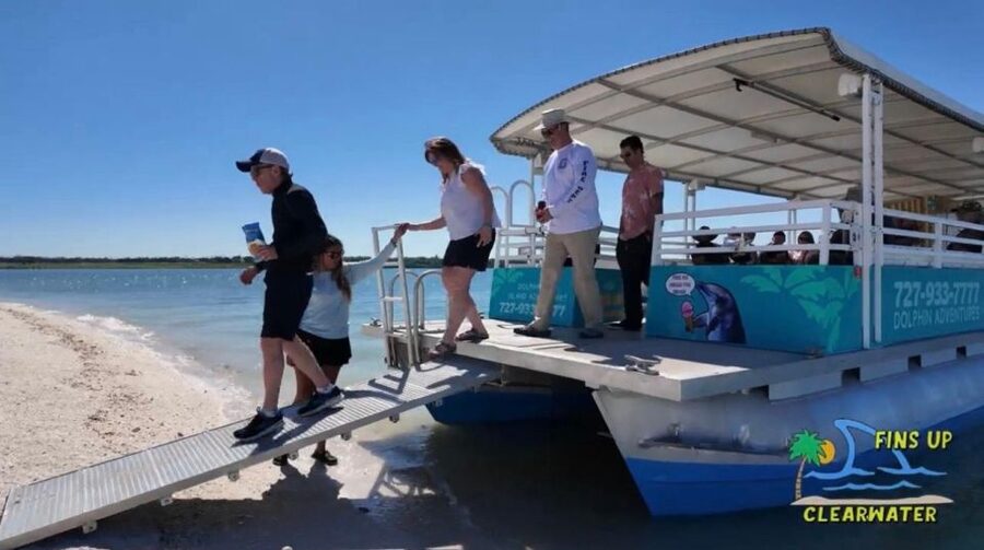 Clearwater Beach: Dolphin & Island Sandbar Cruise - Who should book this tour?