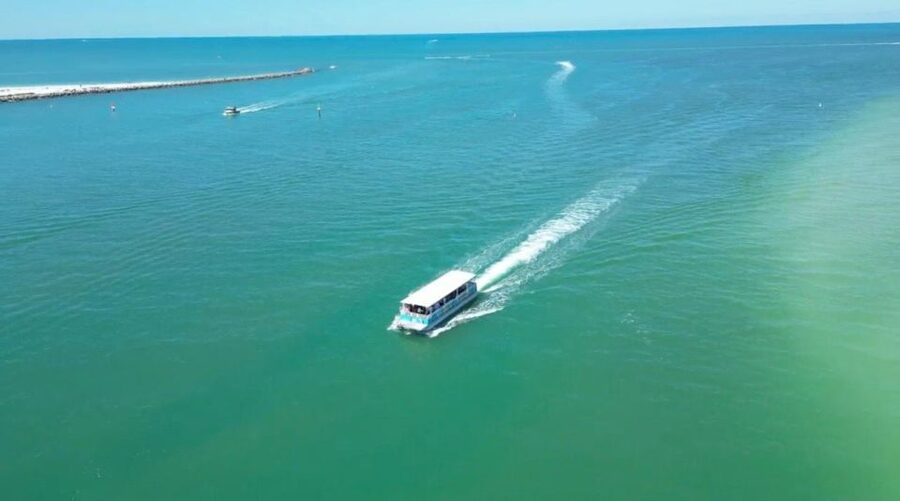 Clearwater Beach: Dolphin & Island Sandbar Cruise - What the $28 Clearwater cruise includes